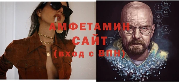 шишки Белокуриха