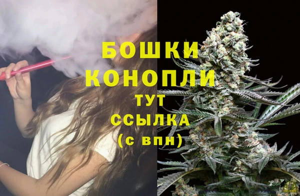 шишки Белокуриха