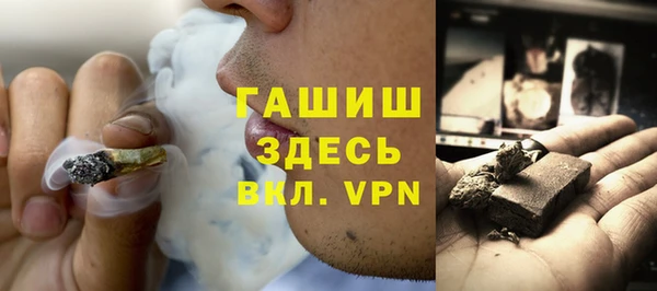 шишки Белокуриха