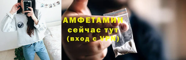 шишки Белокуриха