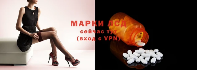 шишки Белокуриха