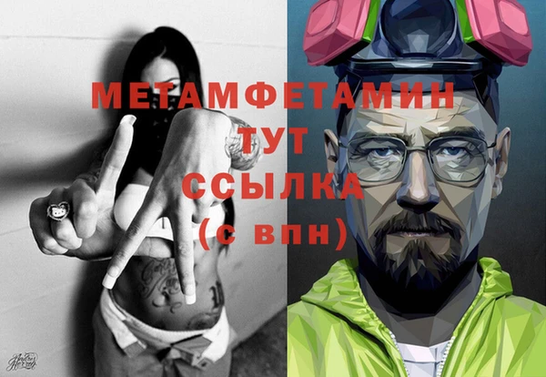 шишки Белокуриха