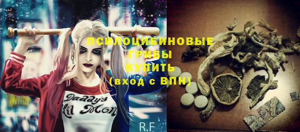 шишки Белокуриха