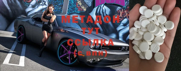 шишки Белокуриха