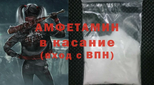 шишки Белокуриха