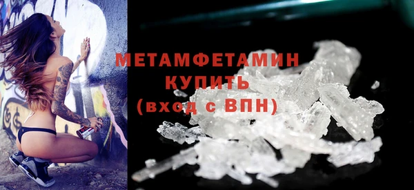 шишки Белокуриха