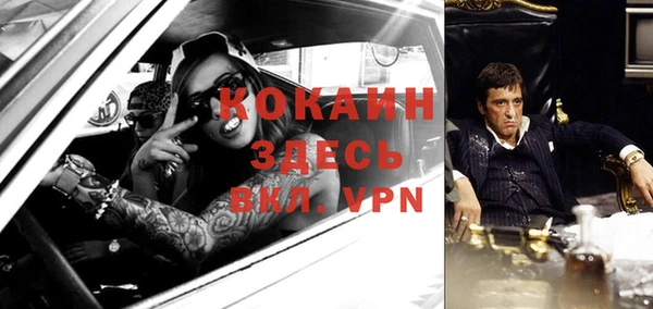 шишки Белокуриха